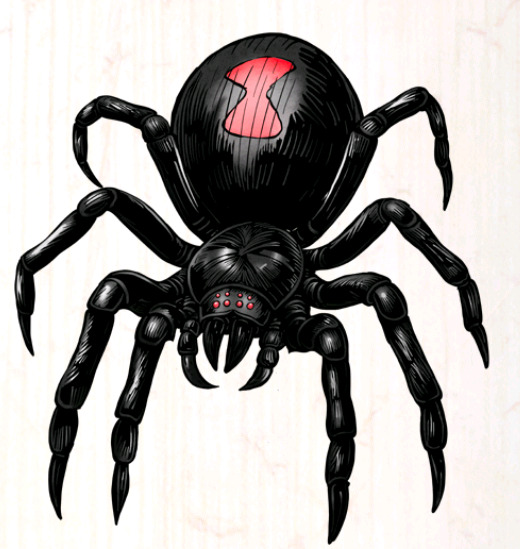 Spider!